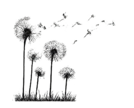 Pusteblumen als Symbol für Leichtigkeit und Neuanfang